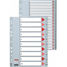 Sadalītājs dokumentiem Esselte A4 formāts, 1-31, plastikāta