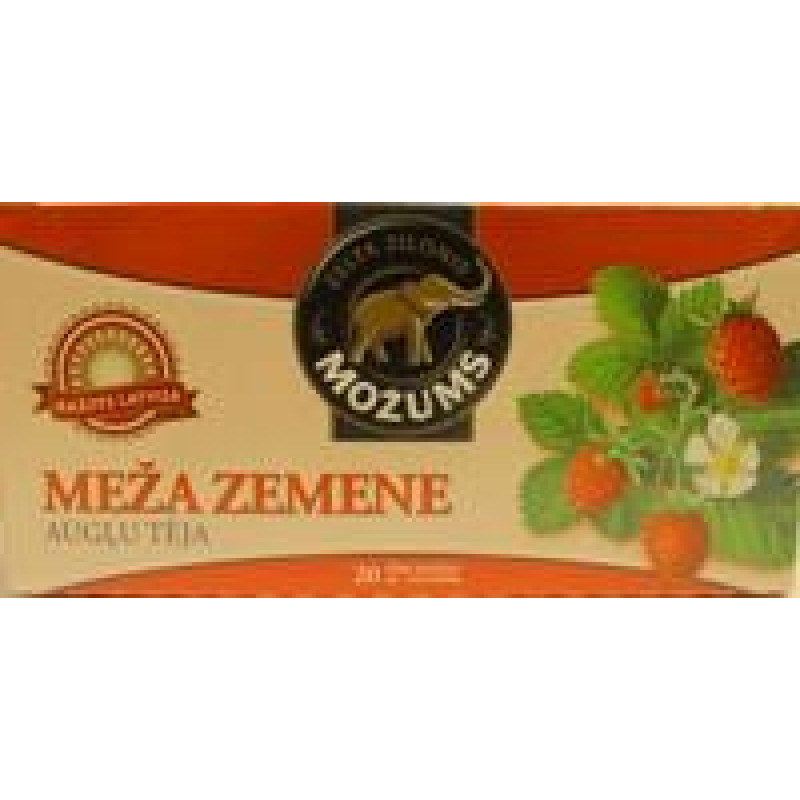 Augļu tēja MOŽUMS Meža Zemene, ar virvīti, 20x1.5g ( Iepak. x 6 )